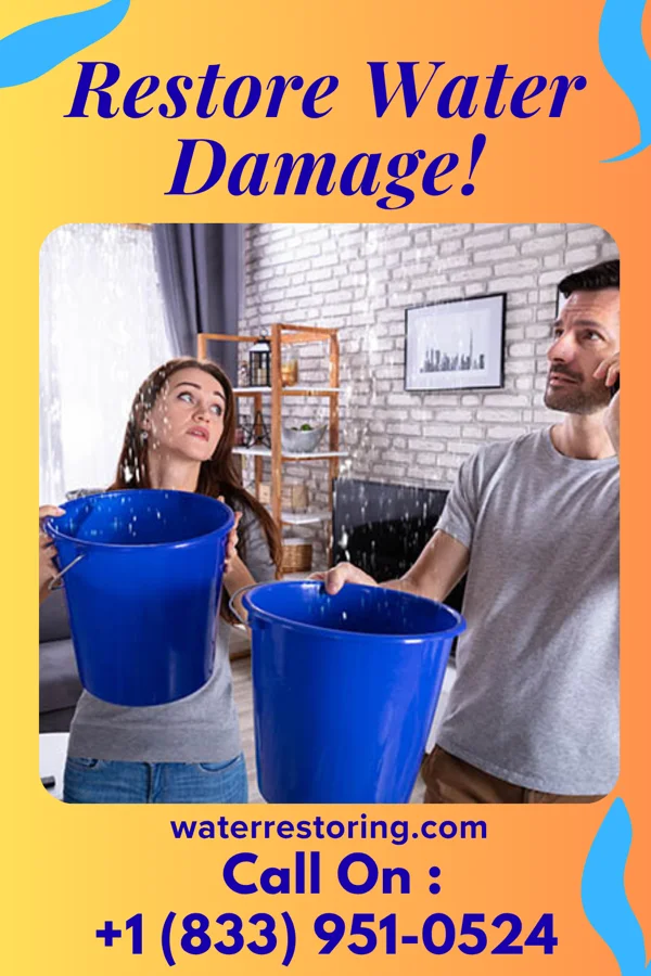 water restoration Water Works Professionals Perryville