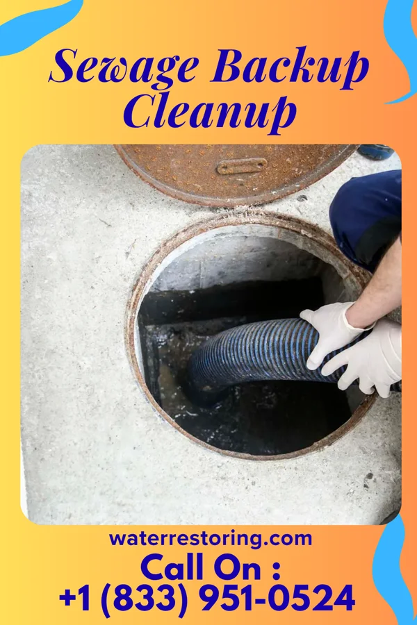 Sewage Backup Cleanup in Perryville, MO